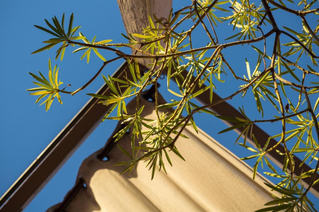 Riad El Maktoub Marrakesh Eksteriør bilde